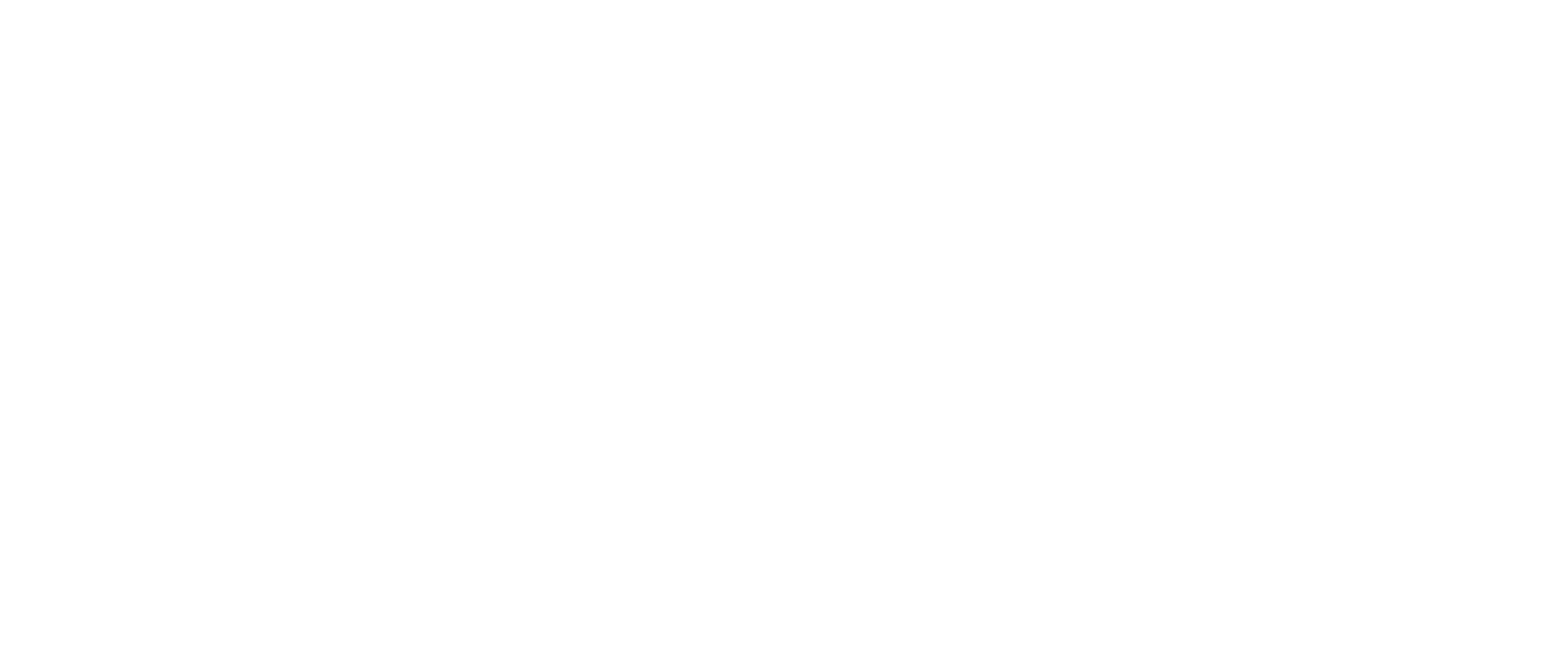 nXlvl Company Logo - Horizontal-White