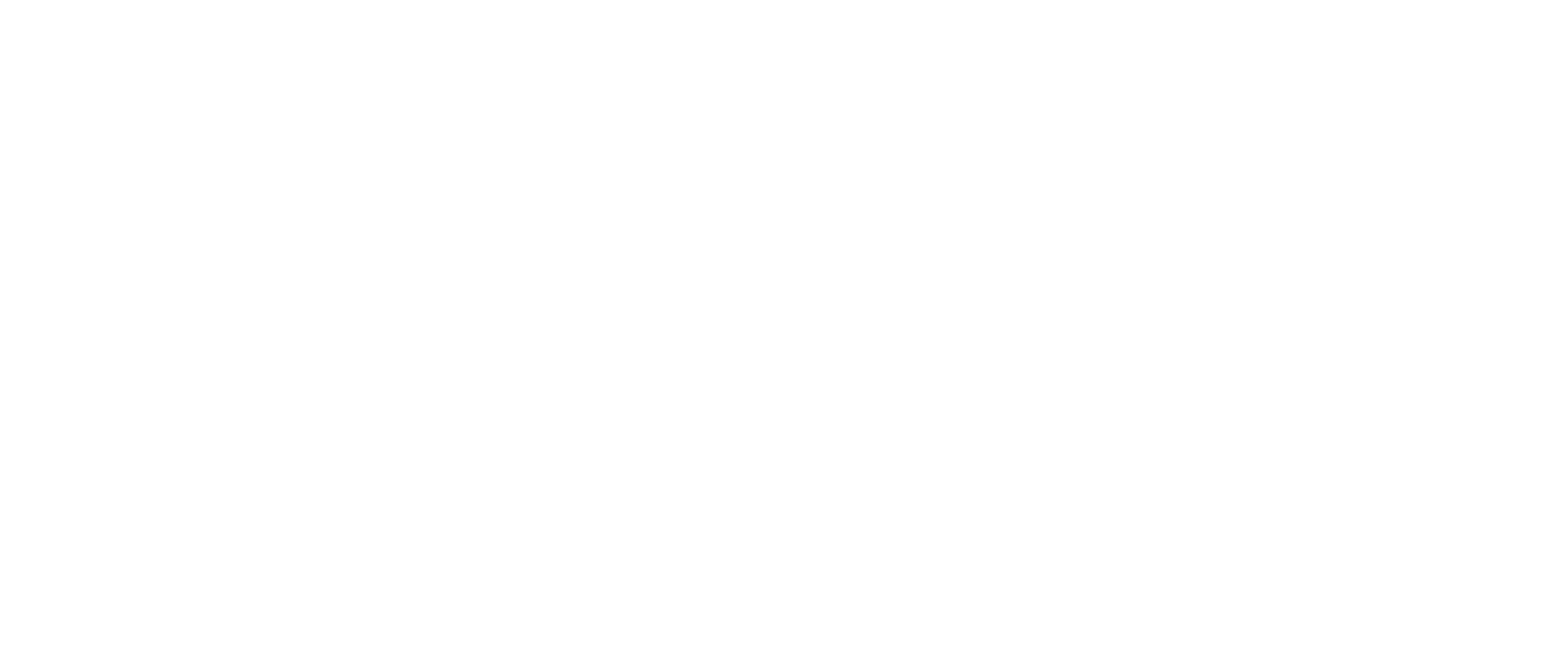 nXlvl Logo Horizontal White